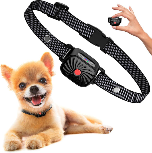BelloSilent Antibellhalsband für kleine Hunde | Mit Ton & Vibration | IP87 Wasserdicht | Verstellbar & sanft im Training