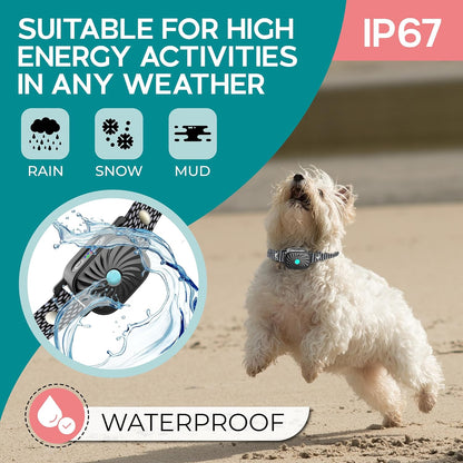 BelloSilent Antibellhalsband für kleine Hunde | Mit Ton & Vibration | IP87 Wasserdicht | Verstellbar & sanft im Training