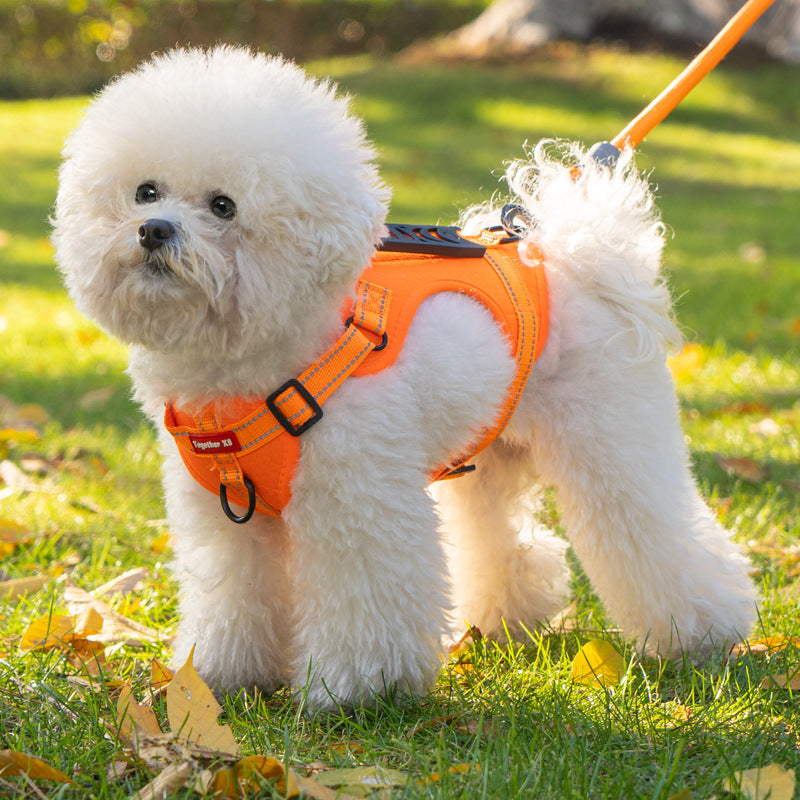 TailMate - Das bequeme Hundegeschirr