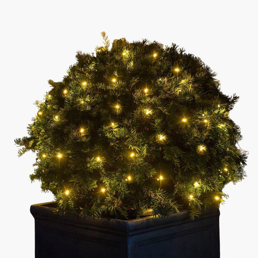 Outdoor lights - LED string lights