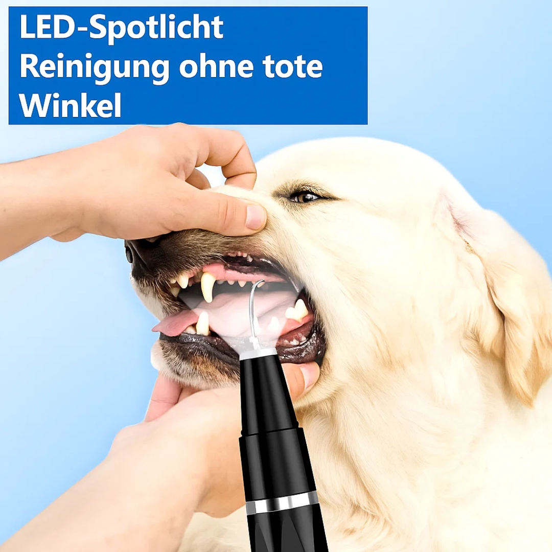 Zahnstein bei Hund & Katze entfernen | Zahnpflege für Haustiere | Zahnreiniger | PlaqueFree